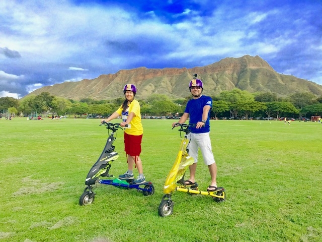 トライキー取り扱い/導入実績