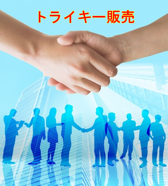 トライキー販売/価格